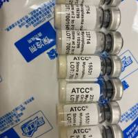 流感嗜血杆菌 ATCC