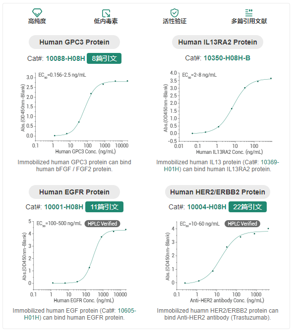 实体瘤细胞治疗中的潜力靶点抗原