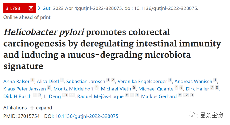 国自然热点“肠道菌群”之幽门螺杆菌通过解除肠道免疫力和诱导粘液降解微生物群特征来促进结直肠癌变