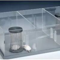 社交互动（自我捋毛，筑巢、少年玩耍，实物埋藏等）