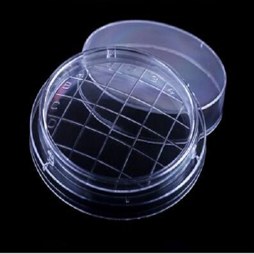 本生新闻：细胞培养皿和细菌培养皿的区别