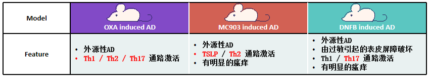 特应性皮炎动物模型那么多，我该选哪个？