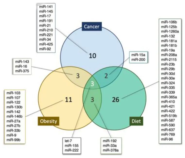 miRNA研究进展盘点丨20230515期
