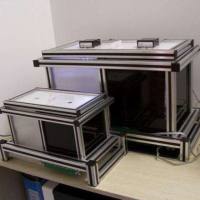 避暗穿梭  动物行为学实验