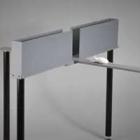 高空十字架  动物行为学实验