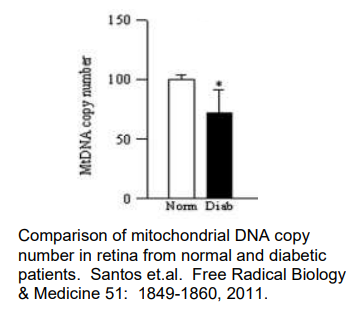 艾美捷线粒体DNA拷贝数试剂盒解决方案