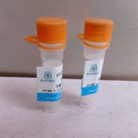 pEGFP-N1-3×Linker-E(SARS-CoV-2)质粒