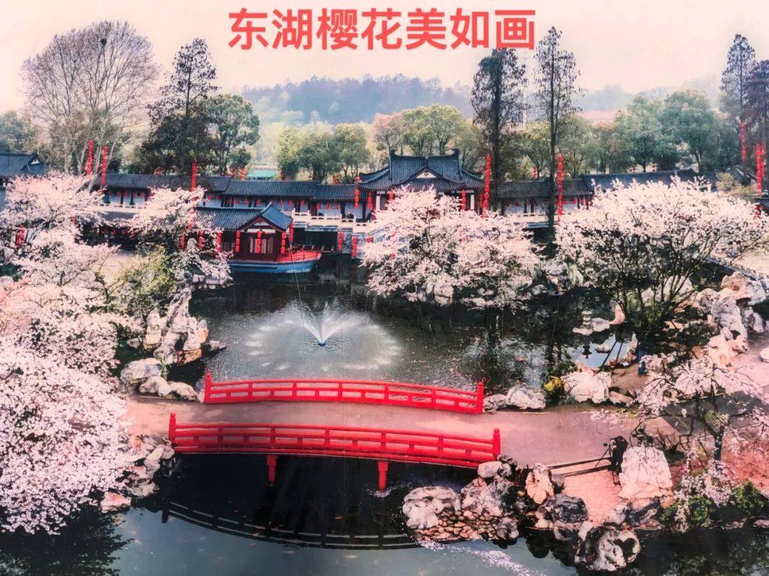 【5.12 护士节】您如天使提灯而来，点燃生命之光