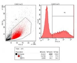 流式细胞分选技术