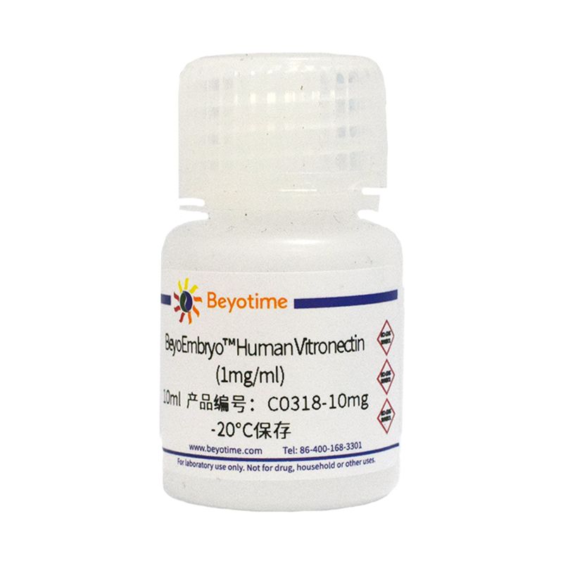 BeyoEmbryo™ Human Vitronectin (胚胎细胞培养级)