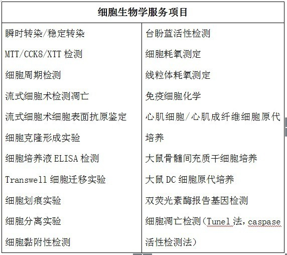 神经元细胞培养实验服务