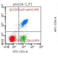 流式检测表面抗原
