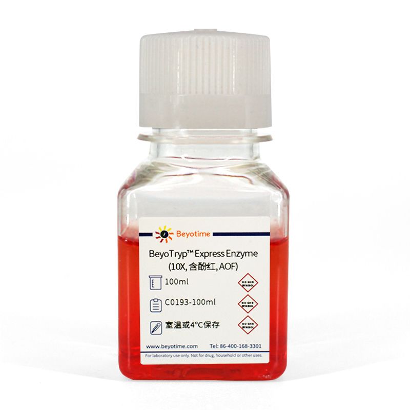 BeyoTryp™ Express Enzyme (10X, 含酚红, AOF)