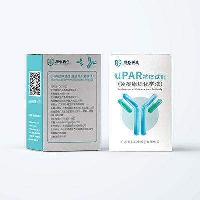 uPAR抗体(免疫组织化学法)uPAR Monoclonal Antibody (9H12):BTOG-I001