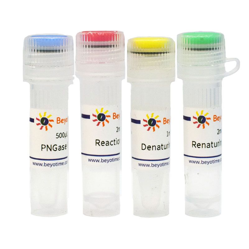 PNGase F去糖基化试剂盒