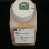 胎牛血清（澳大利亚）10099141C