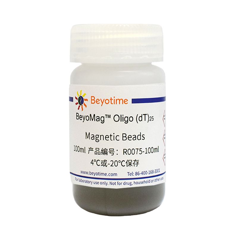 BeyoMag™ Oligo (dT)25 Magnetic Beads (mRNA磁珠)