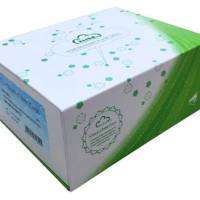 白介素17(IL17)检测试剂盒(酶联免疫吸附试验法)