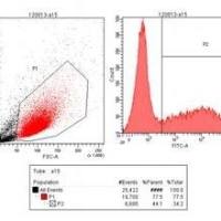 流式细胞分选技术