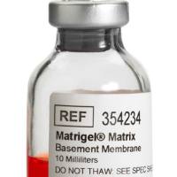 Corning Biocoat产品目录 2023