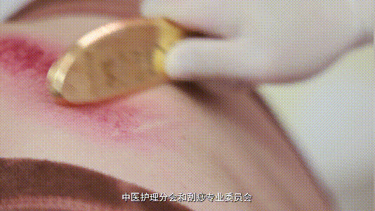温暖护理路 逐梦向未来|让我们「医」路同行