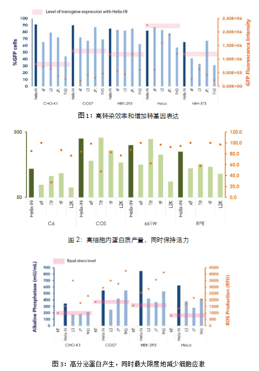 结果示例说明丨艾美捷Helix-IN DNA转染试剂方案
