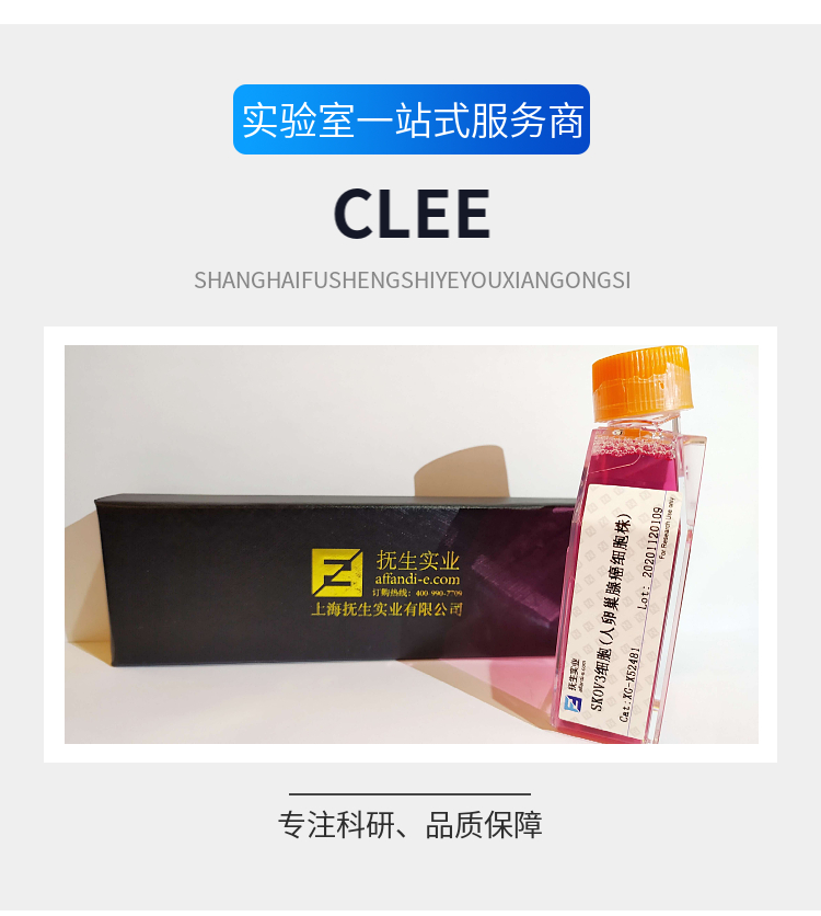 CCD841 CON人正常结肠上皮(有限系）细胞专用培养基