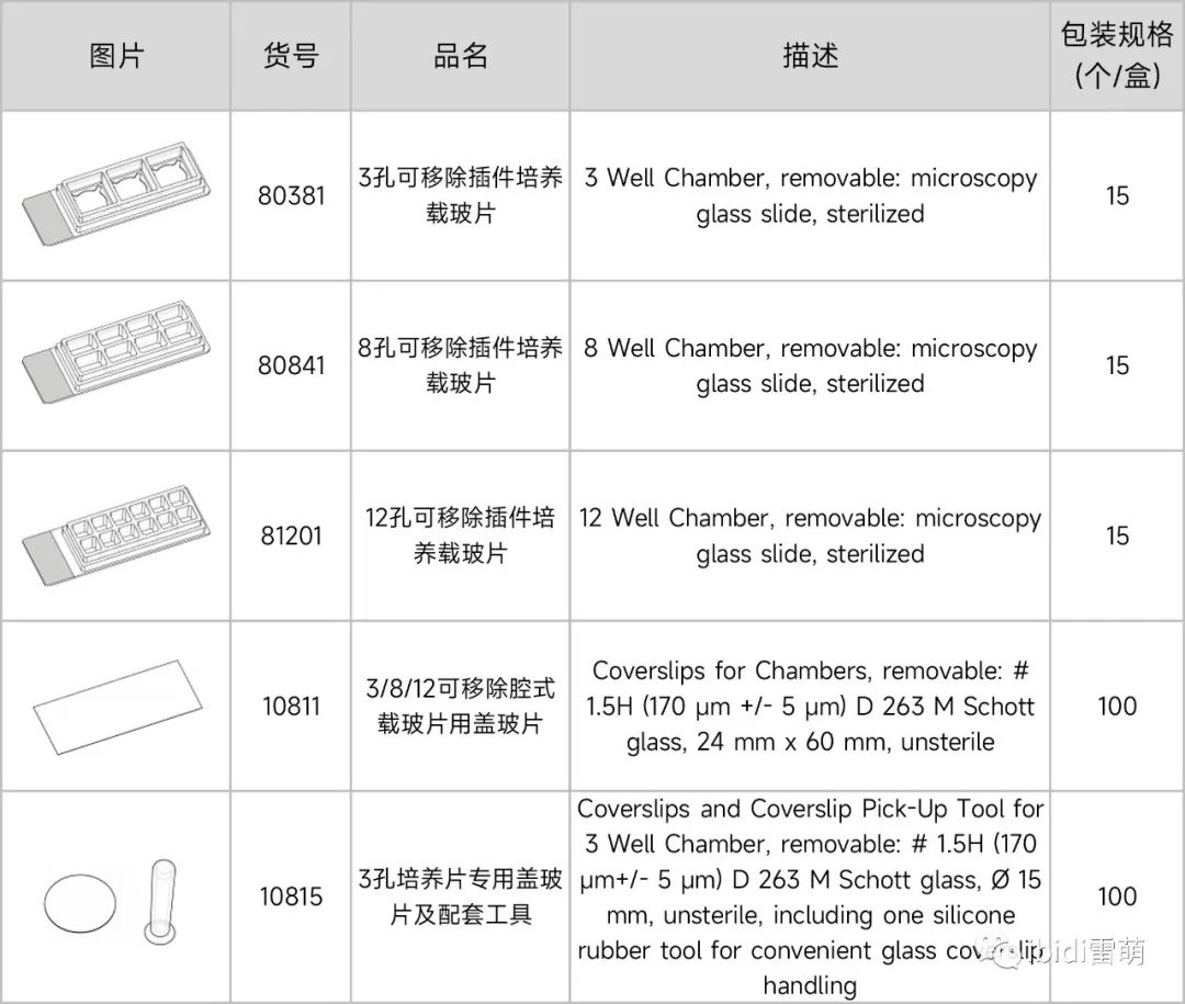 新闻图片11