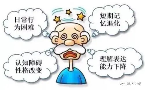 神经退行性疾病——阿尔兹海默症