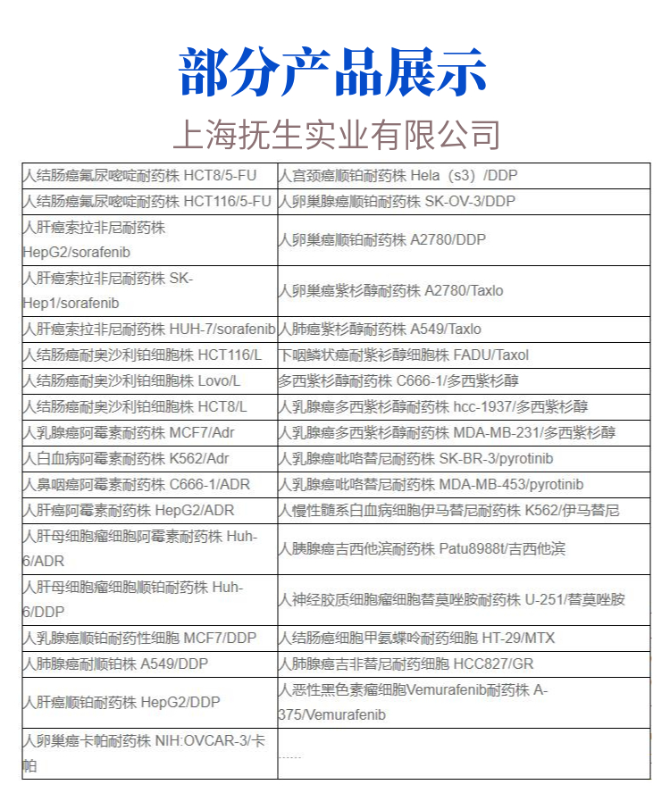 CCD841 CON人正常结肠上皮(有限系）细胞专用培养基