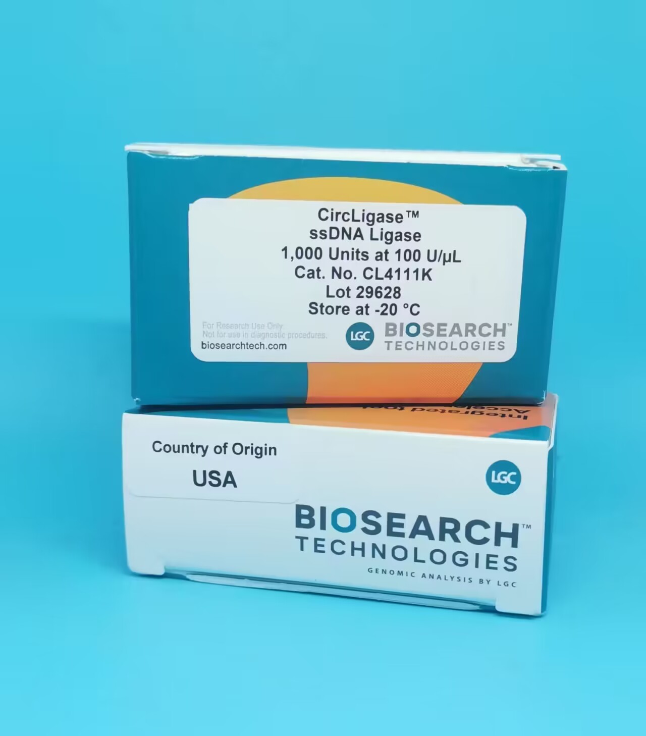 【分子构建】载体构建的经验分享~