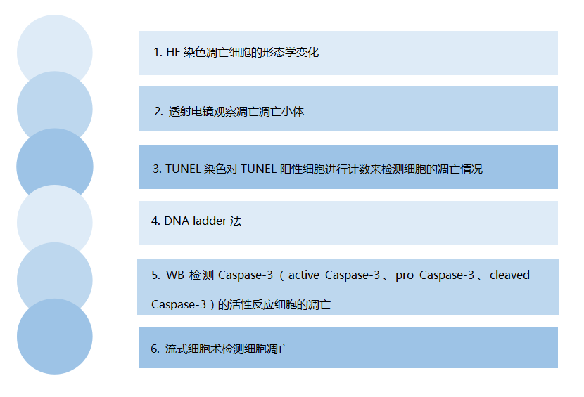 细胞、组织TUNEL凋亡染色实验服务