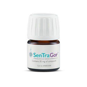 衰老检测SenTraGor™ Cell Senescence Reagent
