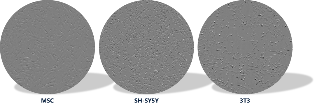 新品发布丨CM30 细胞培养智能质控小助手