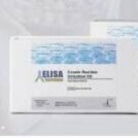 杏仁残留检测试剂盒