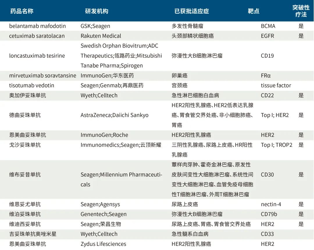 深度解析ADC药物（附临床前研究模型）
