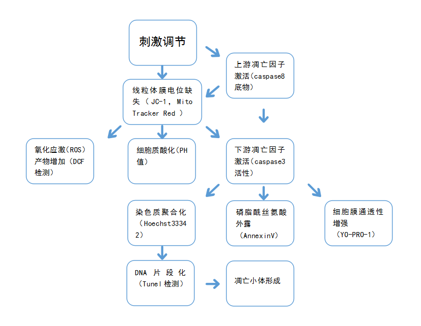 细胞、组织TUNEL凋亡染色实验服务