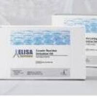 杏仁饮料残留检测试剂盒