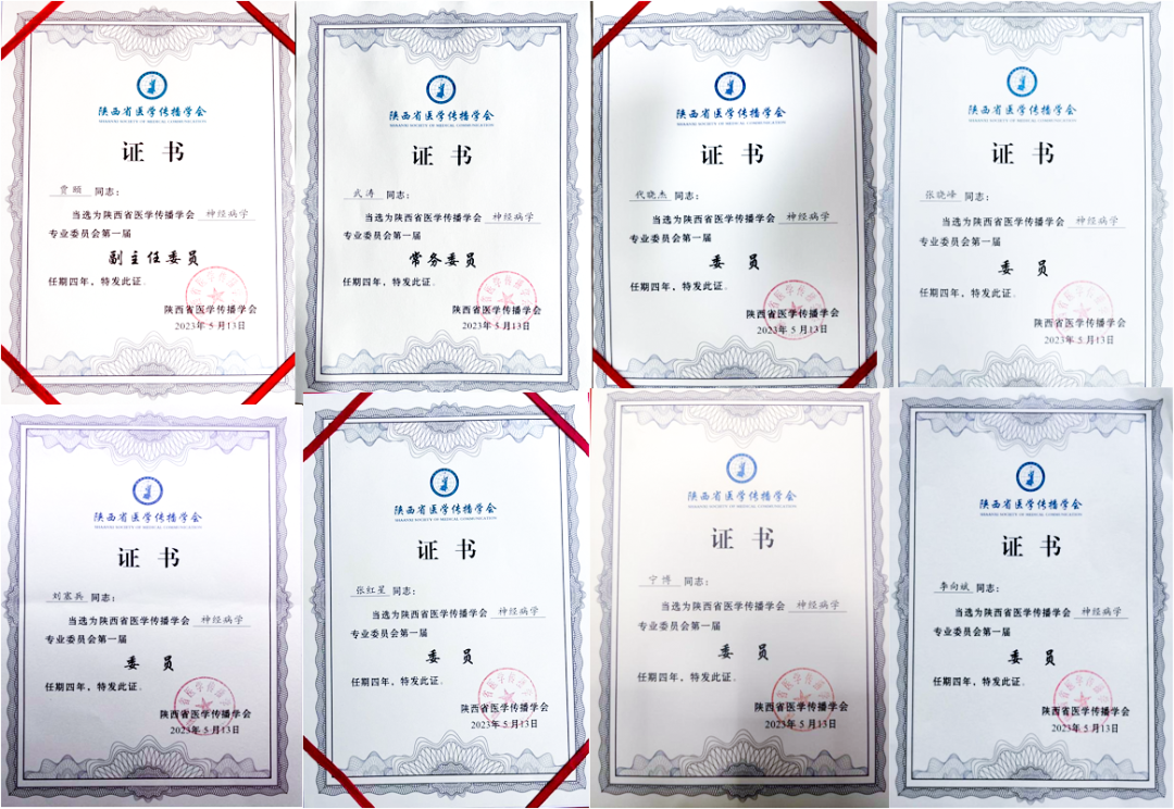 一半救治一半学术交流，西安高新医院这份学科建设成绩单亮眼！