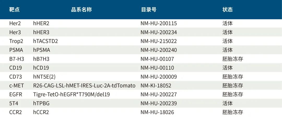 深度解析ADC药物（附临床前研究模型）