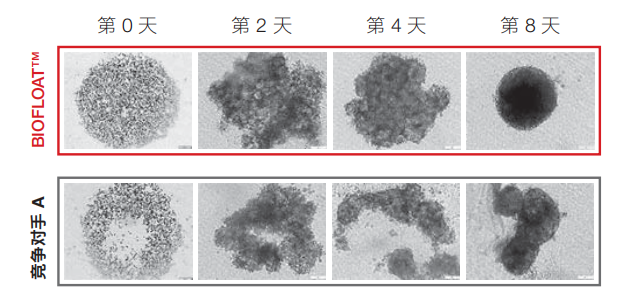 新闻图片3