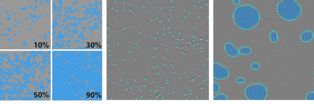 新品发布丨CM30 细胞培养智能质控小助手