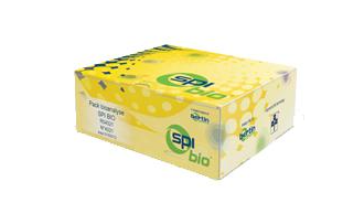 艾美捷Bertin Bioreagent 催乳素（小鼠）ELISA kit方案