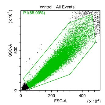 线粒体ROS生物含量检测-流式