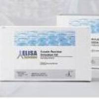 β-乳球蛋白残留检测试剂盒