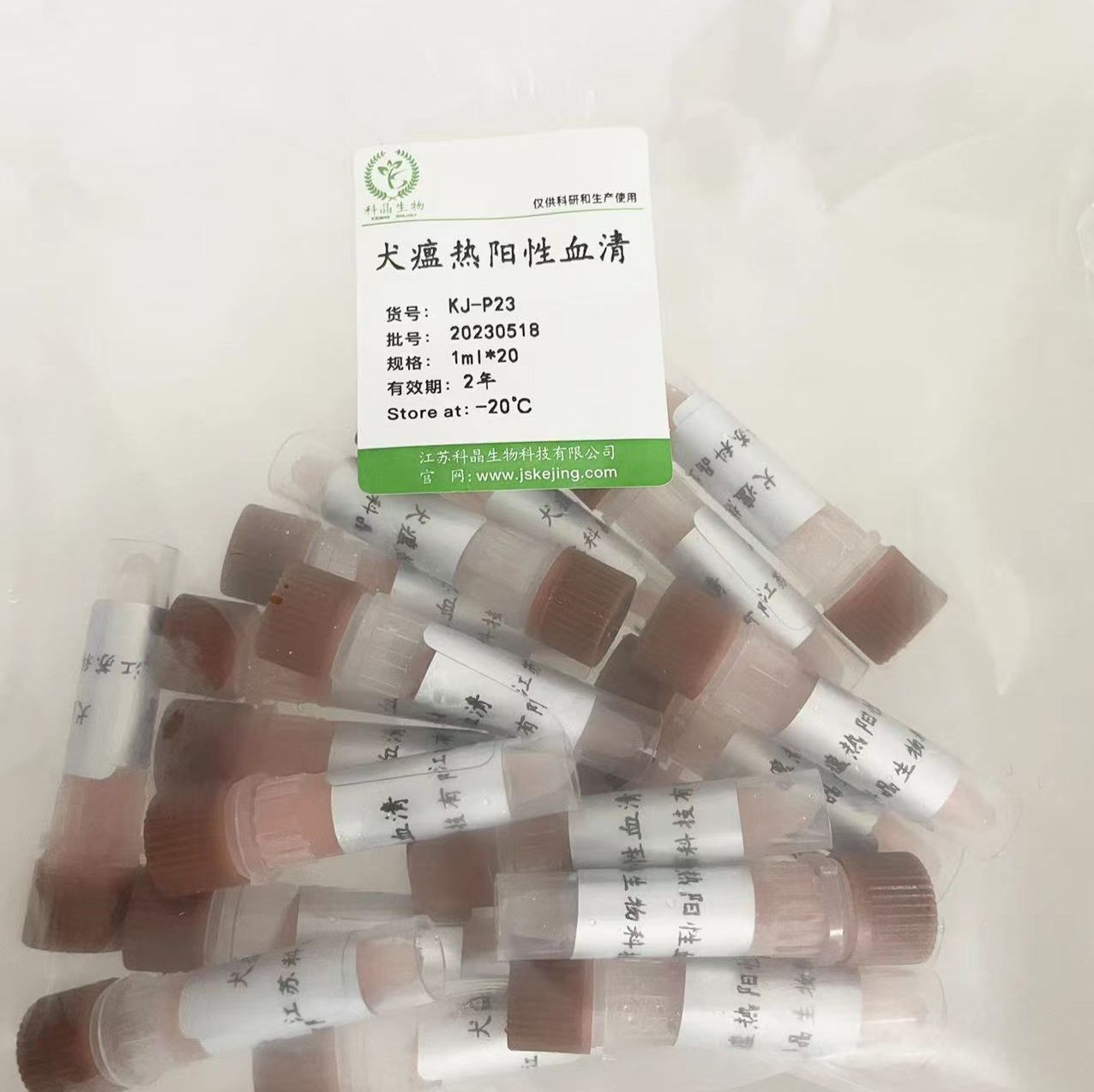 犬瘟热病毒阳性血清