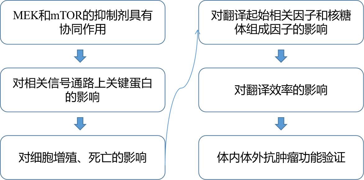 科普文-MEK 和雷帕霉素联合抑制肺癌中的蛋白翻译