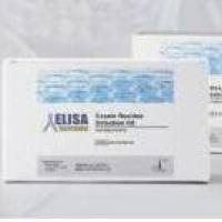 榛子饮料残留检测试剂盒