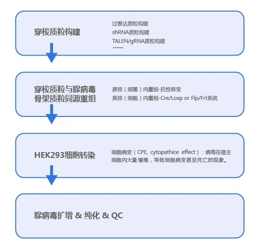 产品细节图片1