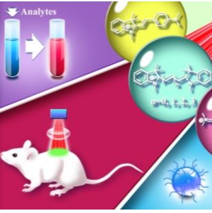巯基/羧基修饰的Cyanine花菁染料